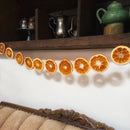 Dried Orange Garland