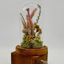 One of a Kind- Pink Celosia Small Terrarium