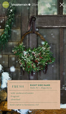 Martha Stewart’s Favorite Holiday Wreath